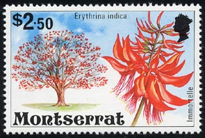 デイコ Erythrina variegata