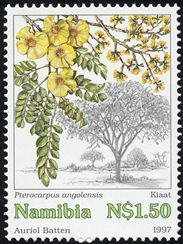 Pterocarpus angolensis