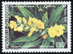 Hibbertia baudouinii