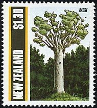 カウリマツ Agathis australis
