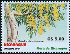 Cassia fistula