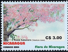 Tabebuia rosea