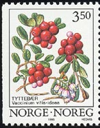 Vaccinium vitis-idaea