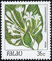 Ophiorrhiza palauensis