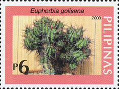 Euphorbia golisana