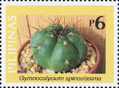 Gymnocalycium spinosissima