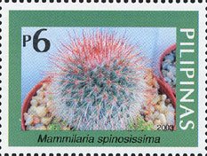 Mammilaria spinosissima