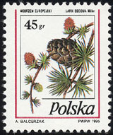 Larix decidua