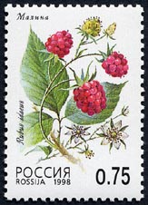 [bpLC`S@Rubus idaeus