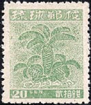 ソテツ Cycas revoluta