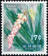 サンニン（ゲットウ）　Alpinia speciosa