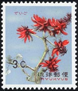 デイコ Erythrina variegata
