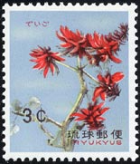 デイコ　Erythrina variegata