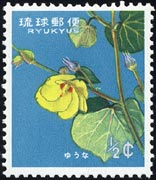 ゆうな Hibiscus tiliaceus