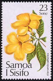 アリアケカズラ Allamanda cathartica