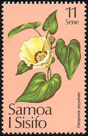 サキシマハマボウ Thespesia populnea