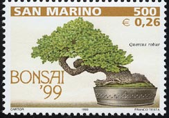 ヨーロッパナラ Quercus robur