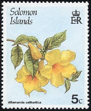 アリアケカズラ Allamanda cathartica