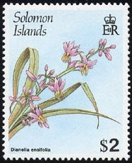 キキョウラン Dianella ensifolia