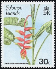 ヘリコニア・ソロモネンシス　Heliconia solomonensis