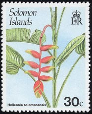ヘリコニア・ソロモネンシス Heliconia solomonensis