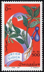 EeBJEfBICJ@Urtica dioica