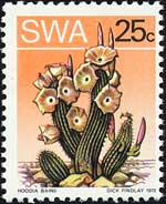 ホーディア・バイニー Hoodia bainii