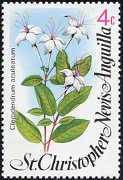 NTM1@Clerodendrum aculeatum