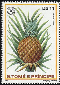 パイナップル　Ananas comosus