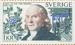 Thunberg