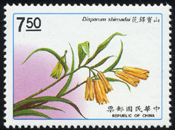 Disporum shimadai