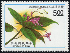 Impatiens devolii