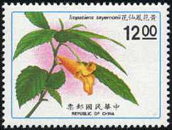 Impatiens tayemonii