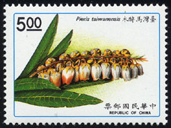 Pieris taiwanensis