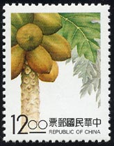 Carica papaya