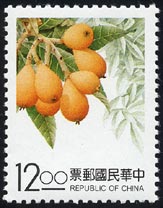 Eriobotrya japonica