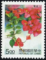 Bougainvillea spectabilis