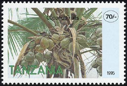 Cocos nucifera