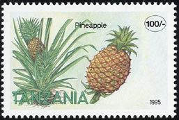 Ananas comosus