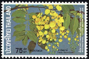 ナンバンサイカチ Cassia fistula