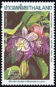 ミズレモン　Passiflora laurifolia