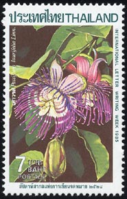 ~Y@Passiflora laurifolia