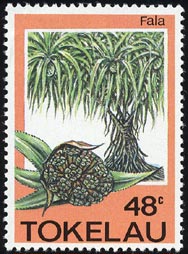 Fala Pandanus sp.