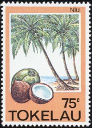 Niu Cocos nucifera