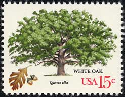 ホワイトオーク Quercus alba