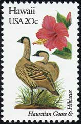 ハイビスカス Hibiscus rosa-sinensis
