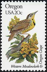 ヒイラギメギ Berberis aquifolium
