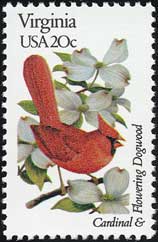 ハナミズキ Cornus florida