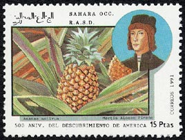 Ananas sativus