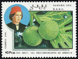 Artocarpus communis